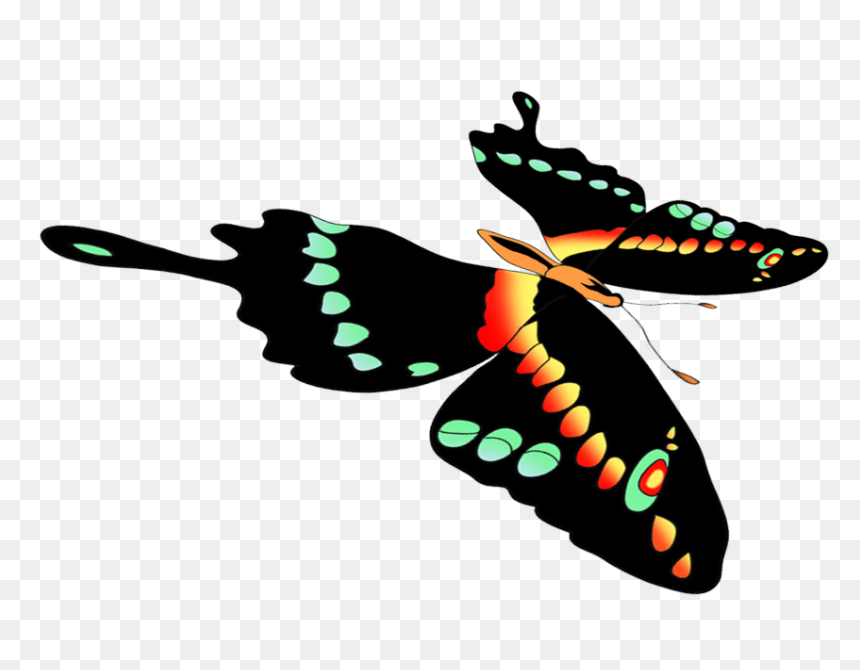 Clip Art, HD Png Download - butterflies png