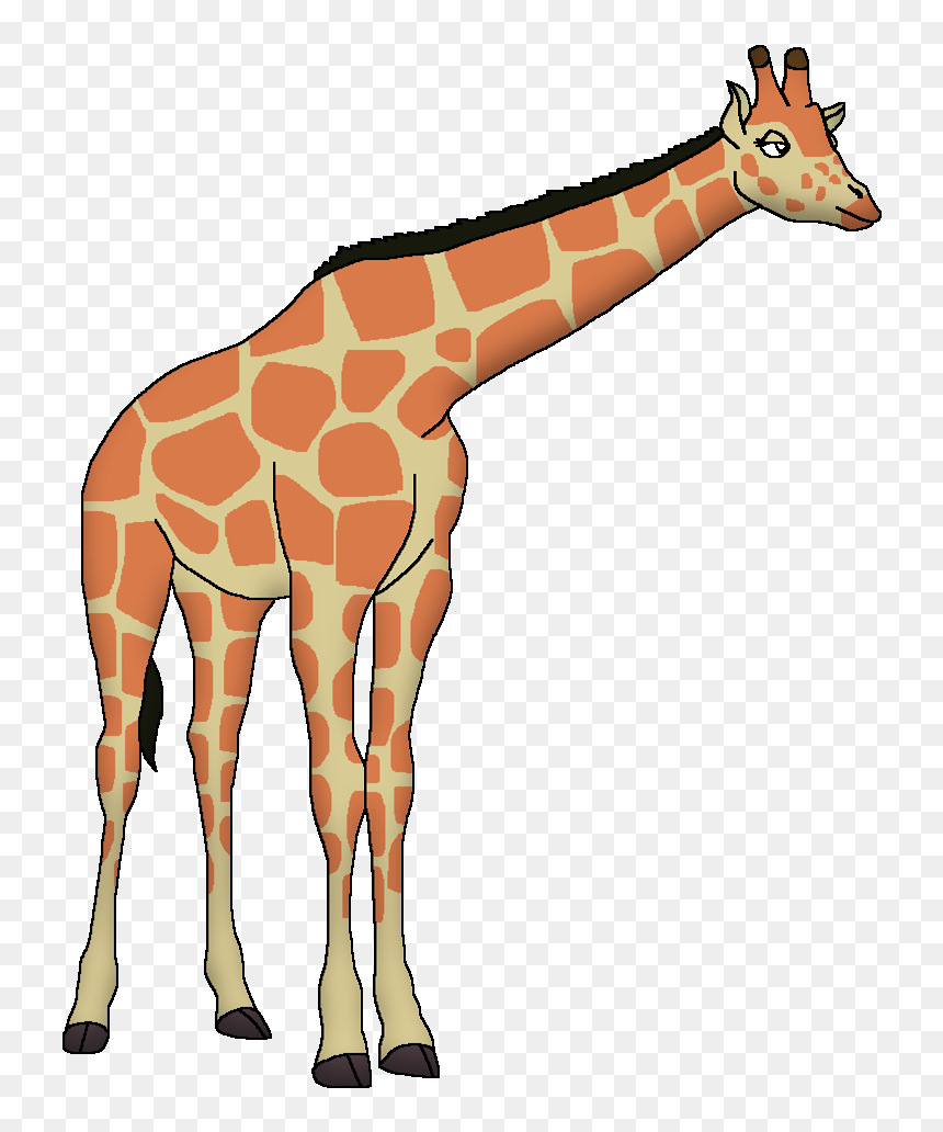 Giraffe, HD Png Download - giraffe png