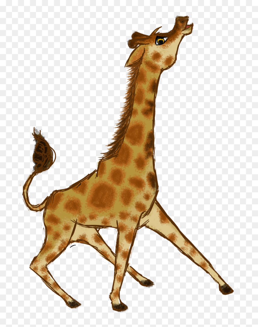 Giraffe, HD Png Download - giraffe png