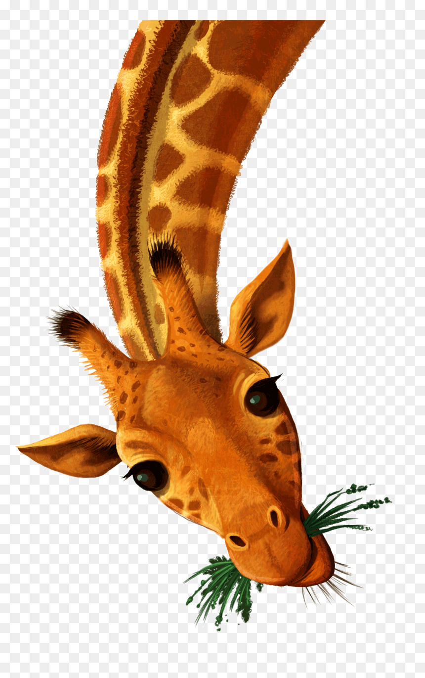 Wild Bible Verse John 20 31, HD Png Download - giraffe png
