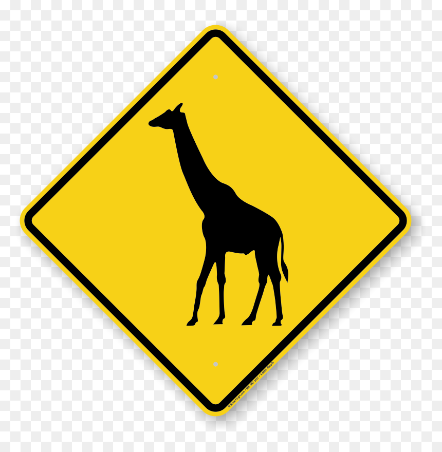 Giraffe, HD Png Download - giraffe png