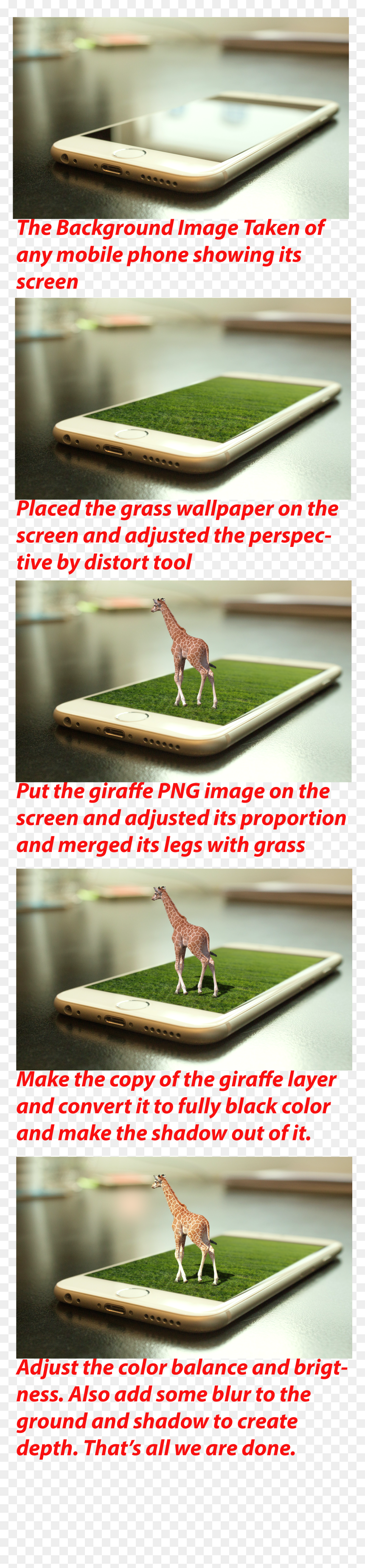 Giraffe Png, Transparent Png - giraffe png