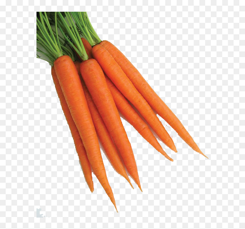 Baby Carrot, HD Png Download - carrot png