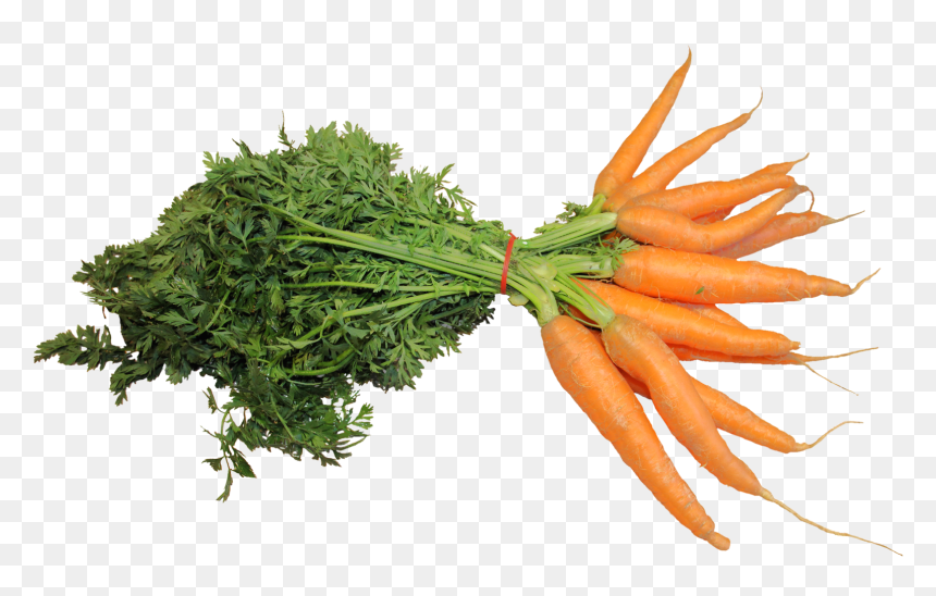 Carrot Png, Transparent Png - carrot png