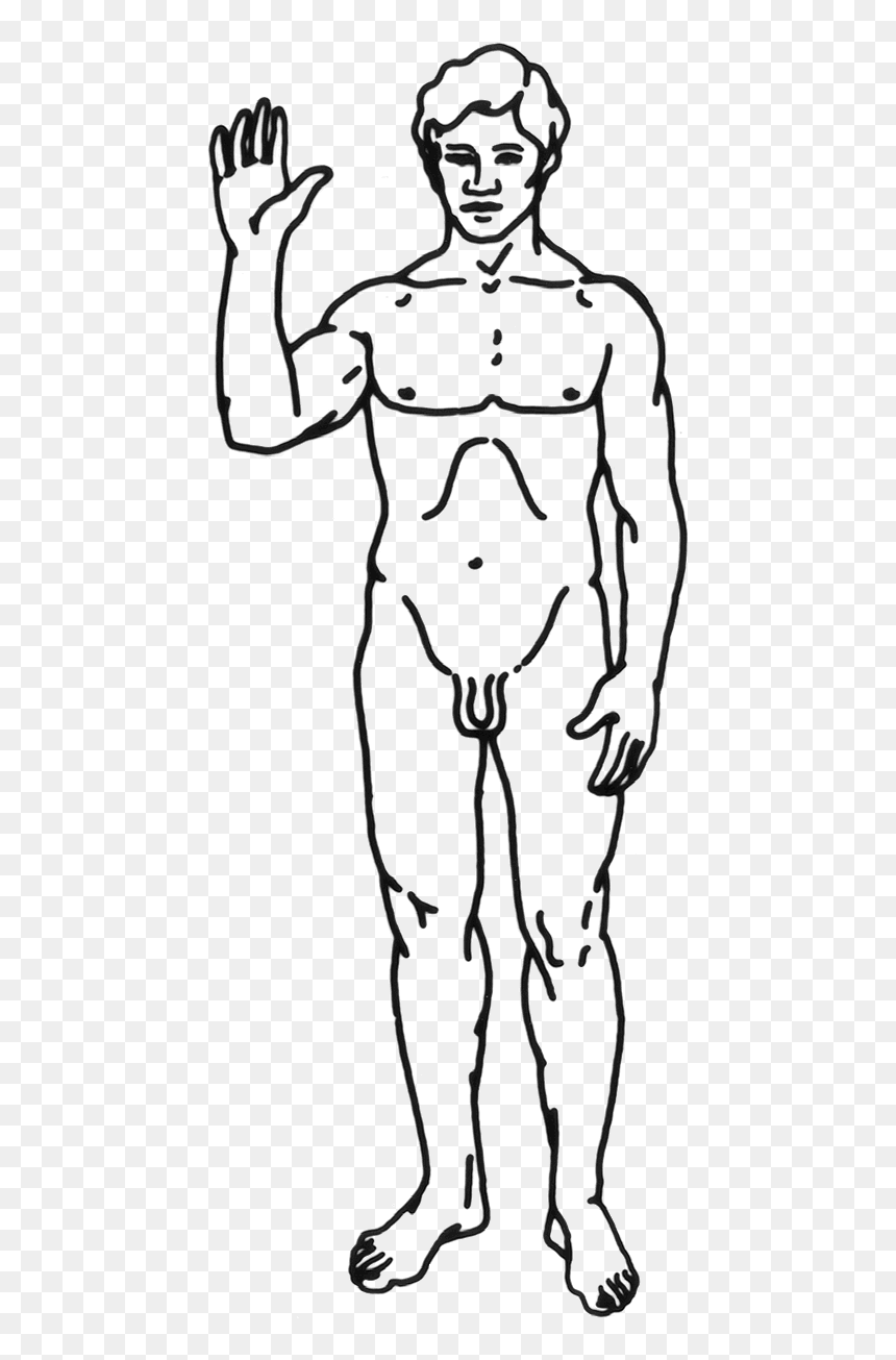 Sample Drawing For Neuro Exam, HD Png Download - human png