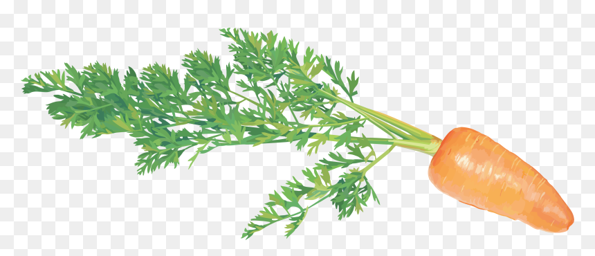 Clip Art Vegetables, HD Png Download - carrot png