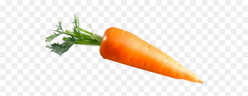 Baby Carrot, HD Png Download - carrot png