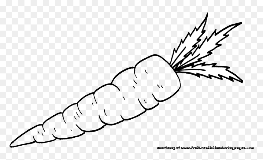 Carrots Black And White, HD Png Download - carrot png