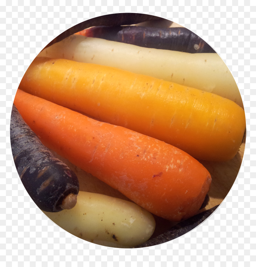 Carrot, HD Png Download - carrot png