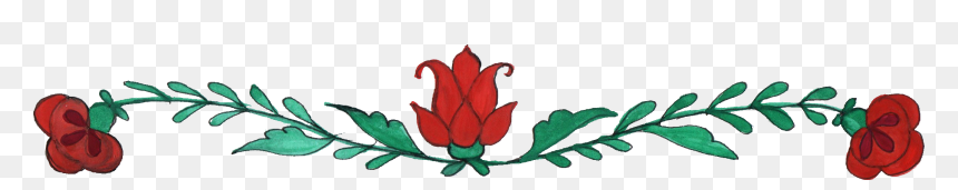 Tulip, HD Png Download - flower border png