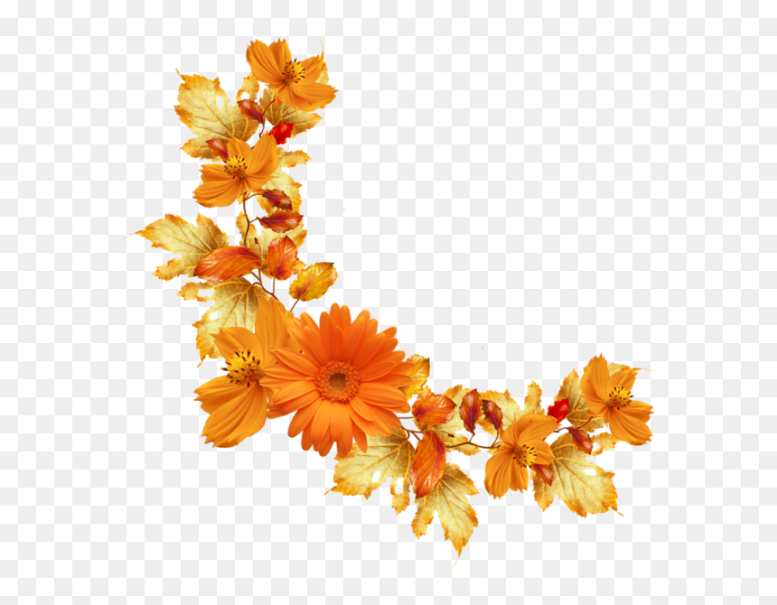Transparent Background Orange Flower Png, Png Download - flower border png