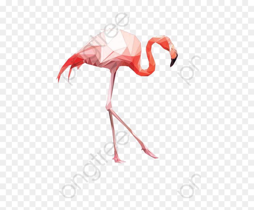 Flamingo Png, Transparent Png - flamingo png