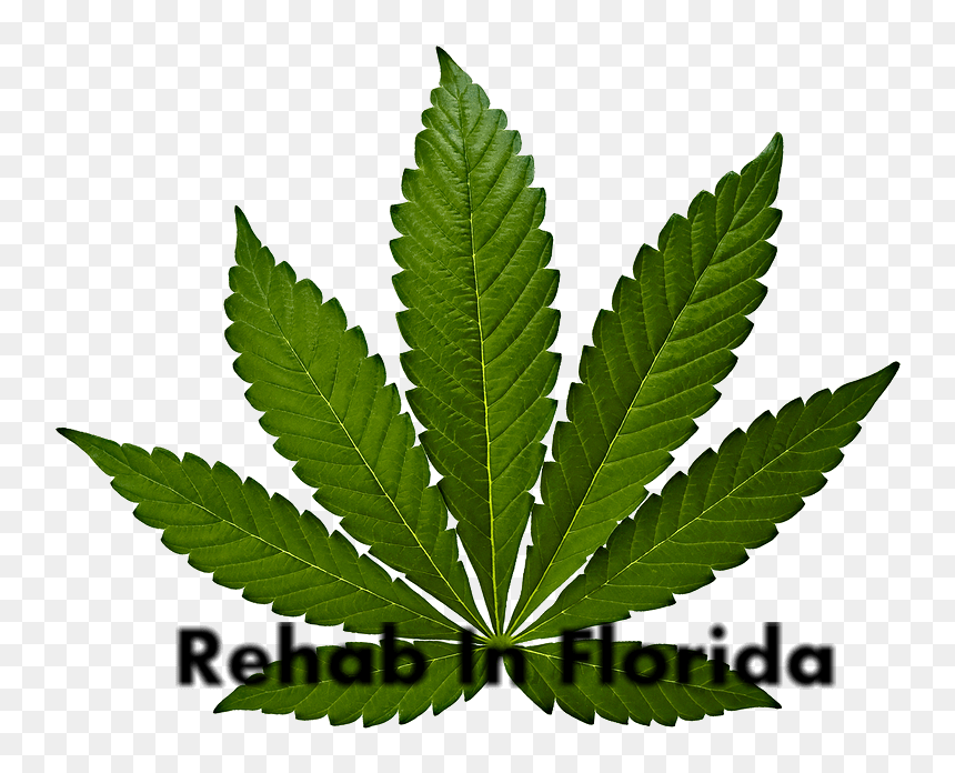 Hemp Environment, HD Png Download - marijuana leaf png