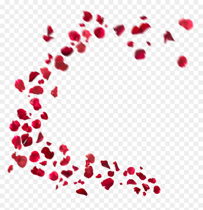 Effect New Png Picsart, Transparent Png - rose petals png