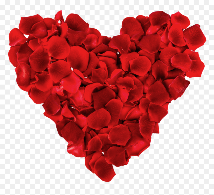 Rose Heart Png Transparent, Png Download - rose petals png