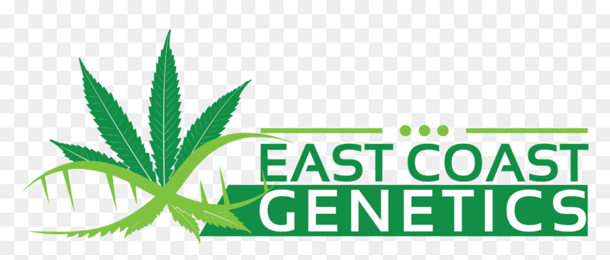 Cannabis, HD Png Download - marijuana leaf png