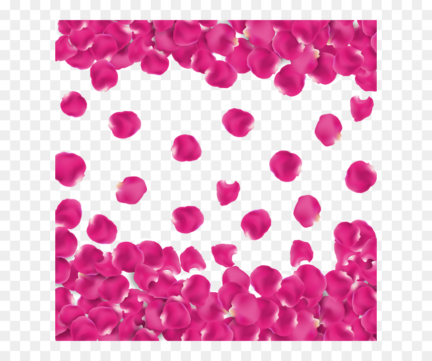 Petalos Png, Transparent Png - rose petals png
