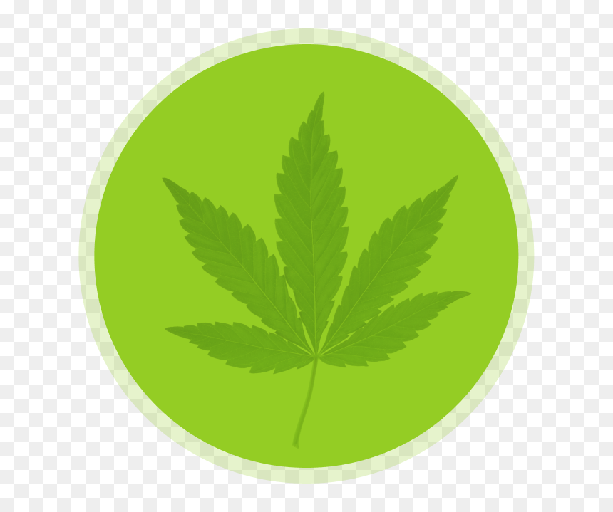 Hanfblatt, HD Png Download - marijuana leaf png