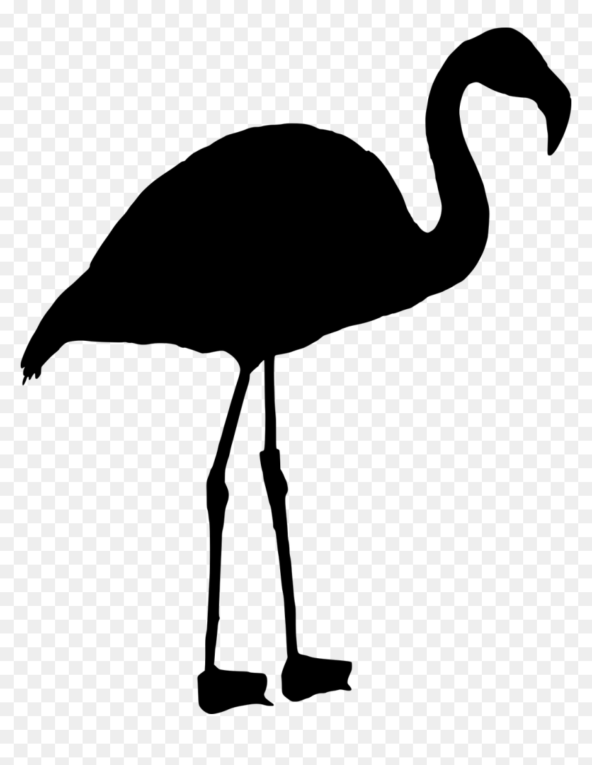 Flamenco Png Negro, Transparent Png - flamingo png
