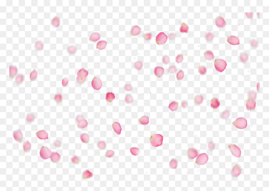 Circle, HD Png Download - rose petals png