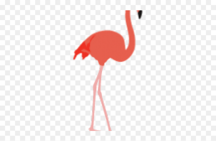 Greater Flamingo, HD Png Download - flamingo png