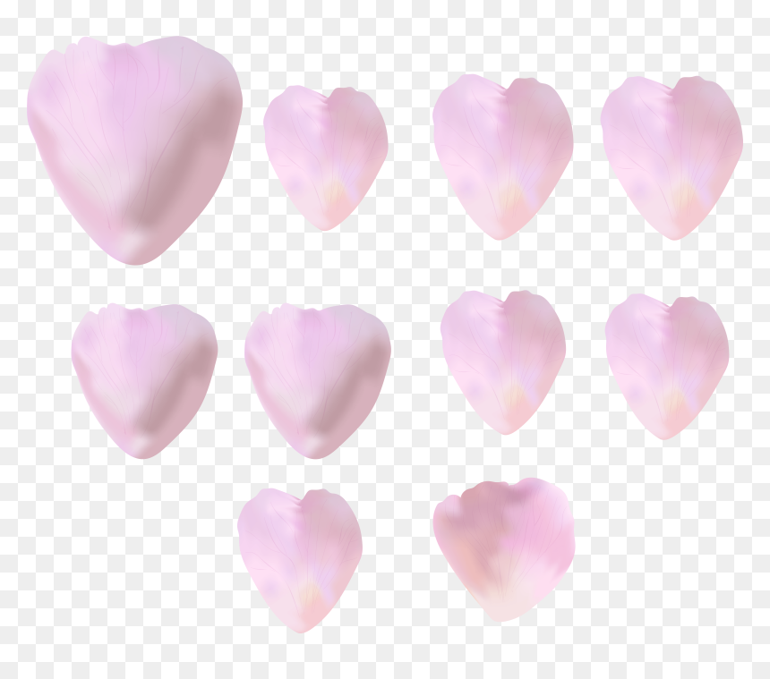 Rose Petals Png, Transparent Png - rose petals png