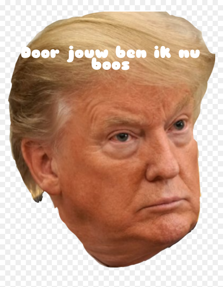 Trump Threatens To Raise Tariffs On $200 Bn Of Chinese, HD Png Download - trump head png