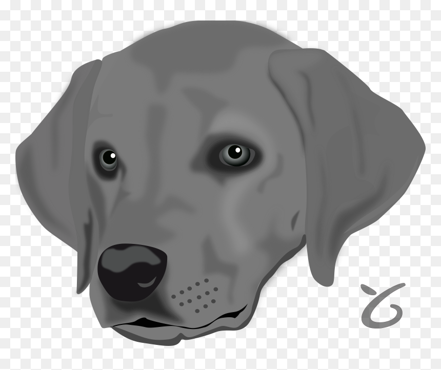 Head Of A Dog, HD Png Download - dog png