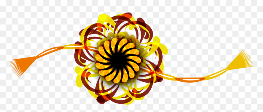 Black-eyed Susan, HD Png Download - rakhi png