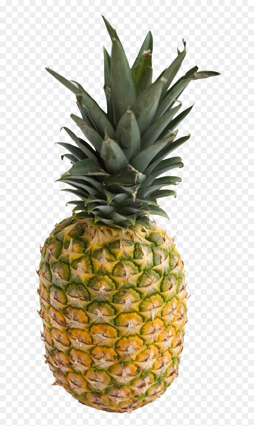 Manganese Infographic, HD Png Download - pineapple png