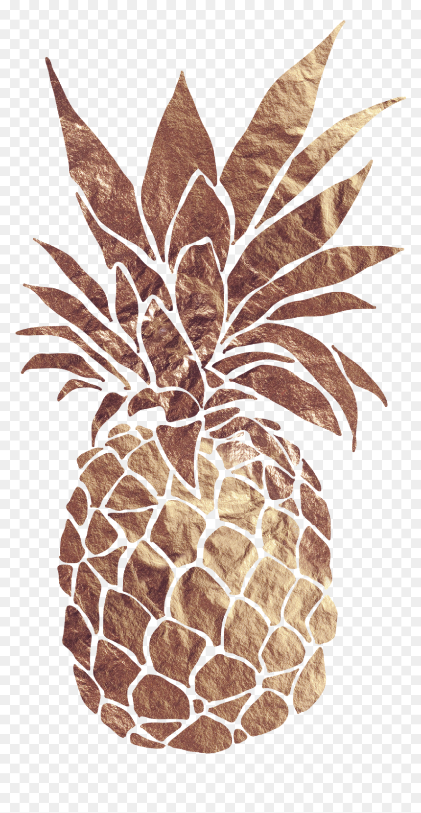 Minimalist Black And White Paintings, HD Png Download - pineapple png