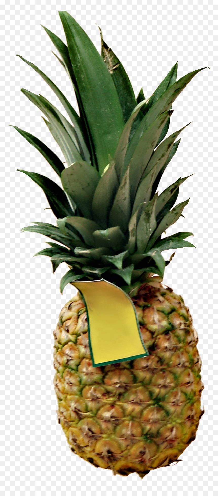 Pineapple, HD Png Download - pineapple png