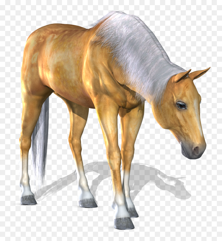 Portable Network Graphics, HD Png Download - horse png