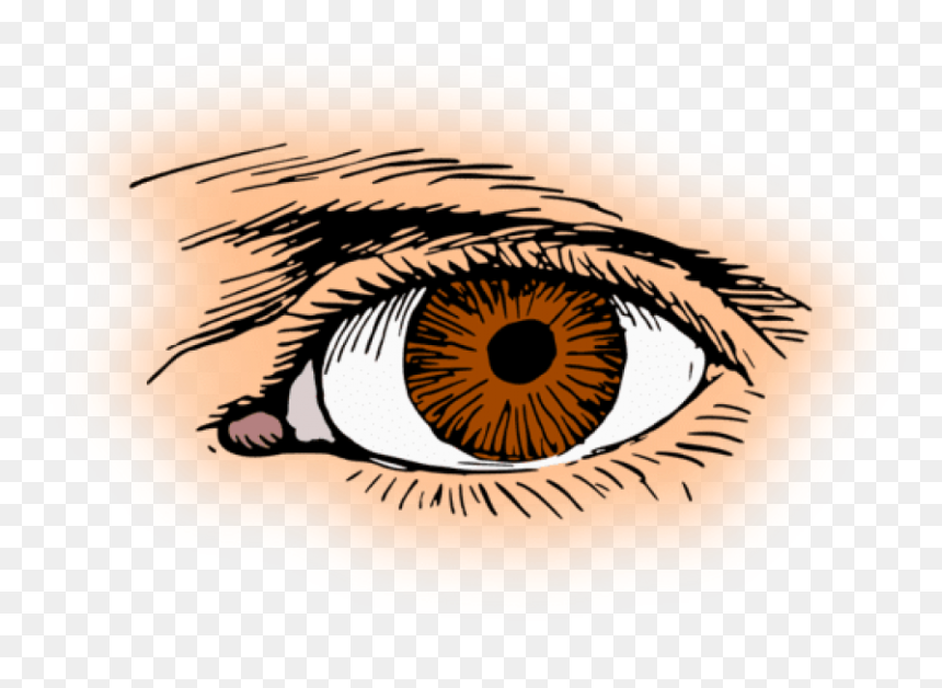 Eye Clipart, HD Png Download - eyes png