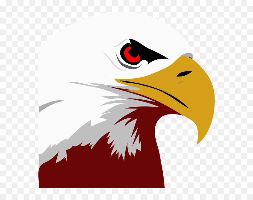 Bald Eagle Clip Art, HD Png Download - eagle png