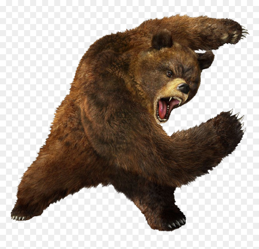 Let's Go Bruins, HD Png Download - bear png