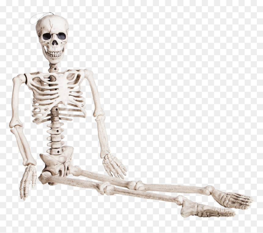 Skeleton Png, Transparent Png - skeleton png