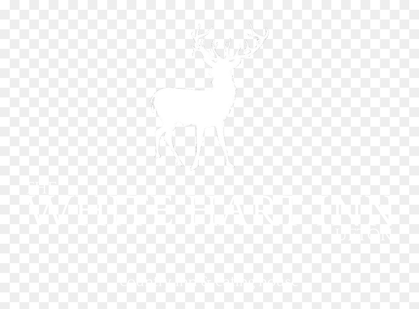 Reindeer, HD Png Download - instagram png logo