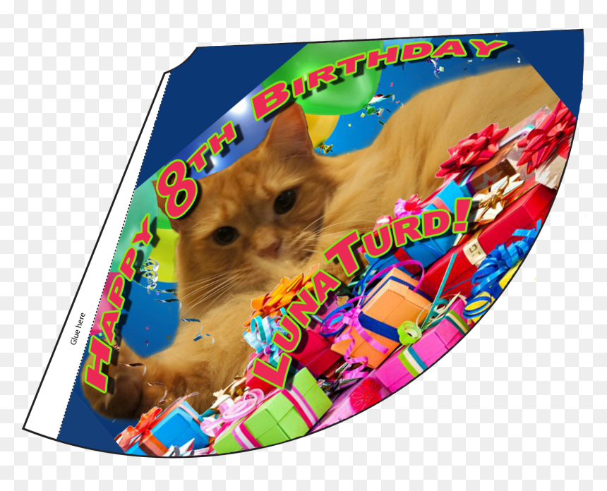 Asian, HD Png Download - birthday hat png