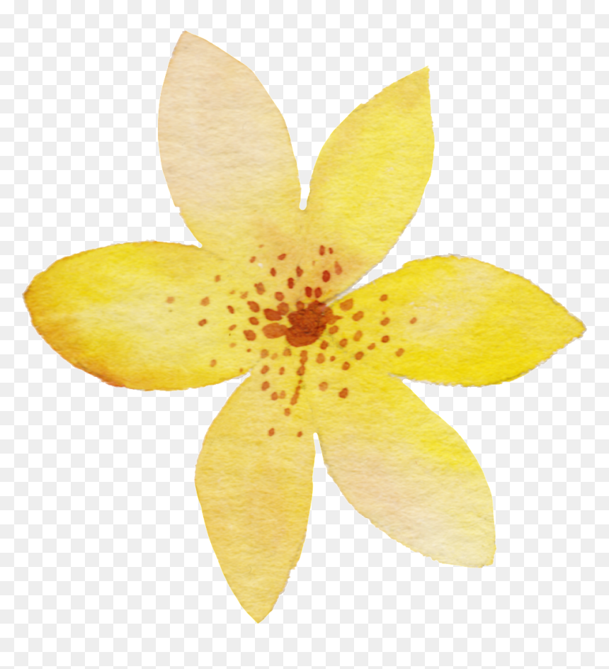 Yellow Watercolor Flower Png, Transparent Png - watercolor flowers png