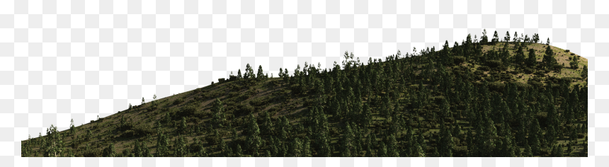 Transparent Mountain Png, Png Download - forest png