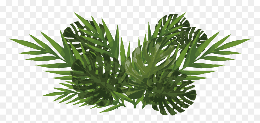 Watercolor Plants Png, Transparent Png - plants png