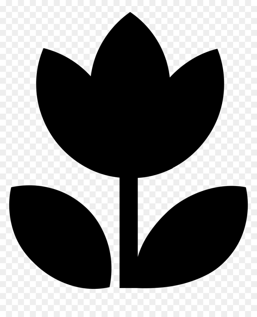 Plants Comments, HD Png Download - plants png