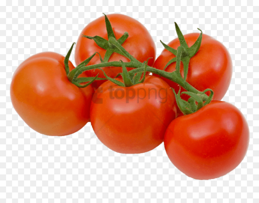 Tomatoes On The Vine Png, Transparent Png - vine png