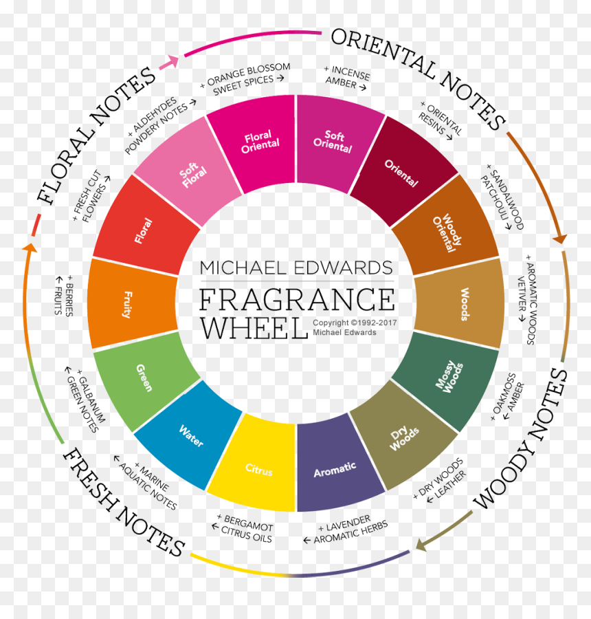 Fragrance Wheel, HD Png Download - orange png