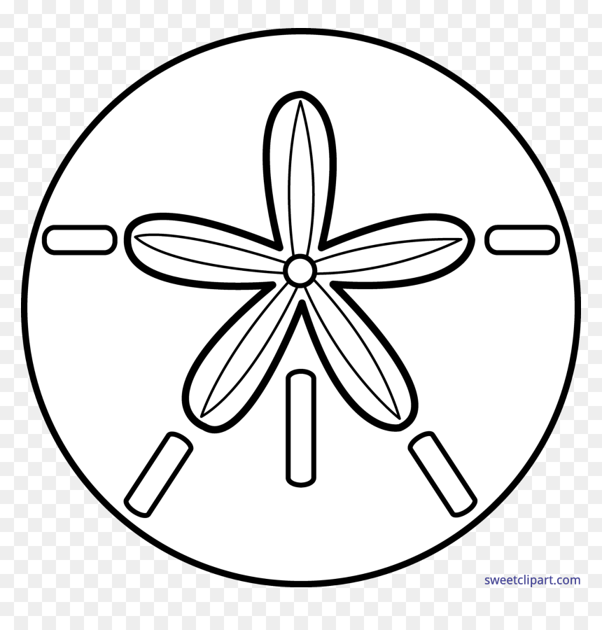 Sand Dollar Black And White, HD Png Download - sand clipart png