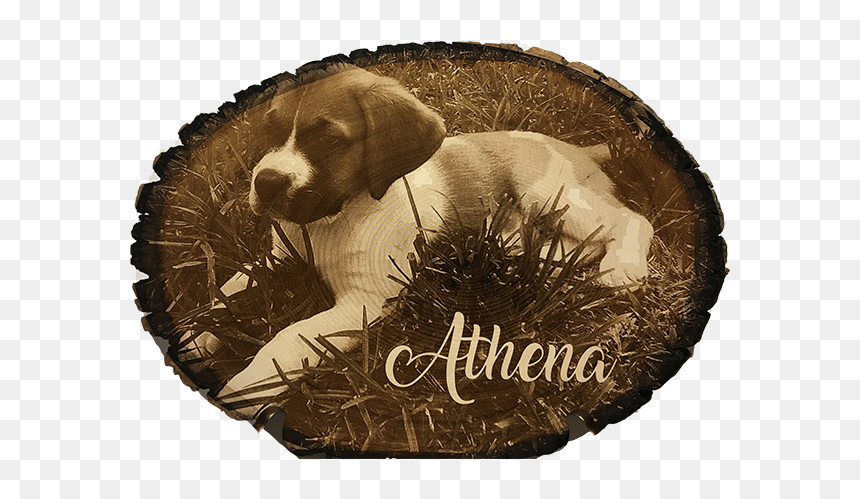 Beagle, HD Png Download - piece of wood png