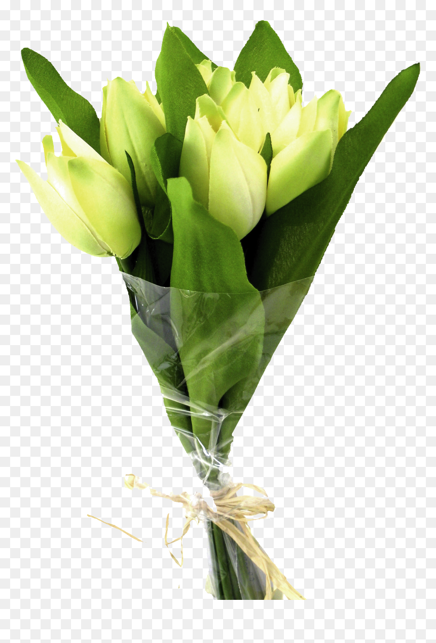 Tulip Tattoo Designs, HD Png Download - green flowers png