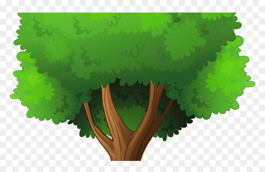 Transparent Transparent Background Transparent Trees, HD Png Download - cypress tree png