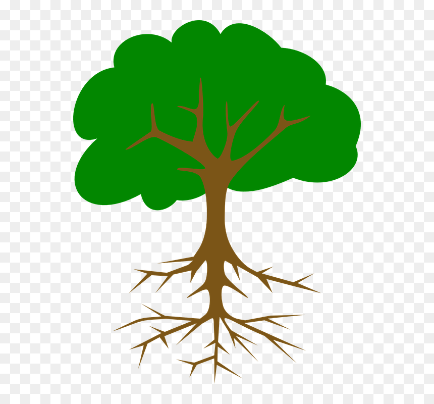 Tree Vector Black Png, Transparent Png - cypress tree png
